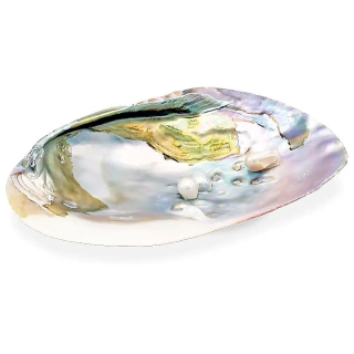 Perleťová mušle 15cm, s perlou
